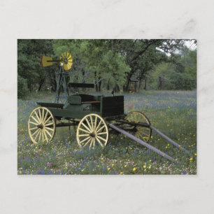 Carte Postale N.A., USA, Texas, Devine, Old wagon et