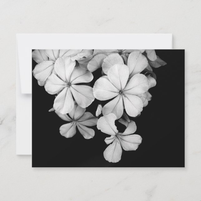 carte postale n&b (Devant)