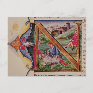 Carte Postale 'N' initial historique représentant des moutons