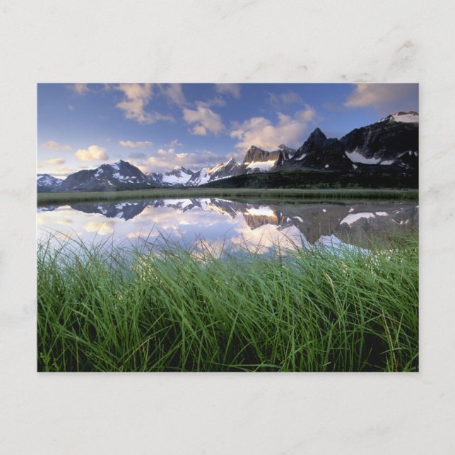 Carte Postale NA, Canada, Alberta, vallée de Tonquin. Jasper (Devant)