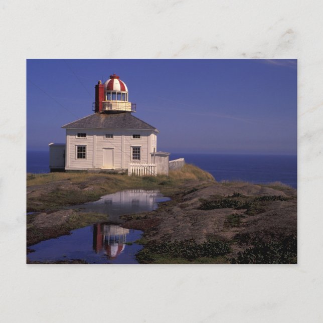 Carte Postale NA, Canada, Terre-Neuve, cap Spear. Ancien cap (Devant)