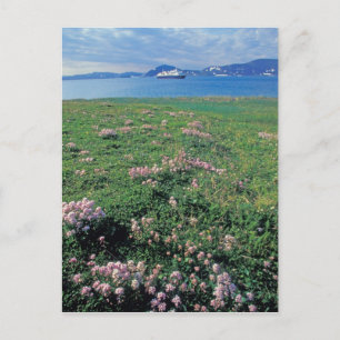 Carte Postale NA, États-Unis, Alaska, Île Aléoutienne, Paysage a
