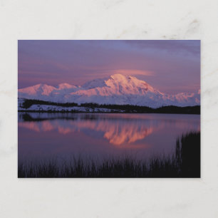 Carte Postale NA, États-Unis, Alaska. Parc national Denali. Mont