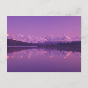 Carte Postale NA, États-Unis, Alaska, Parc national Denali, Wond