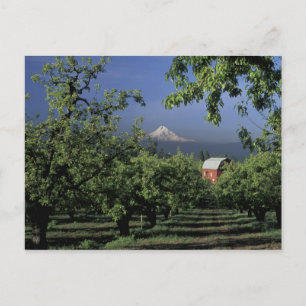 Carte Postale Na, Etats-Unis, Orégon, près de capot de la