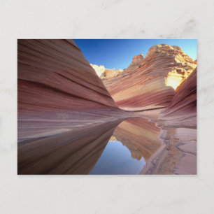 Carte Postale NA, États-Unis, Utah, Vermillion Cliffs. Coyote Bu