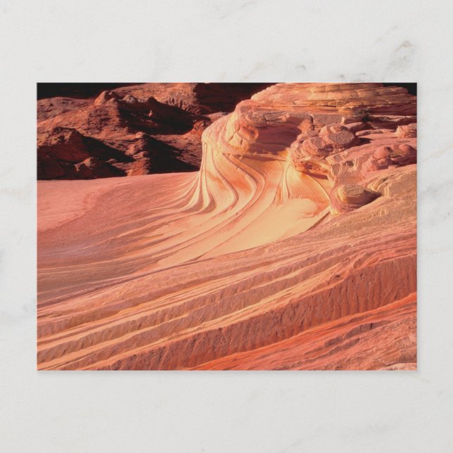 Carte Postale NA, États-Unis, Utah, Vermillion Cliffs. Coyote Bu (Devant)