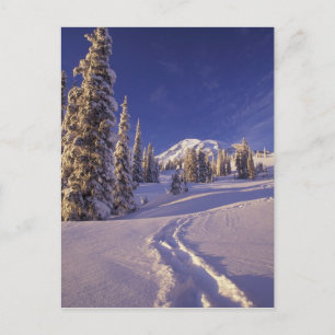 Carte Postale NA, États-Unis, Washington, Mt. Rainier NP, raquet