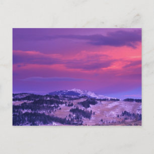 Carte Postale NA, États-Unis, Wyoming, Parc national de Yellowst