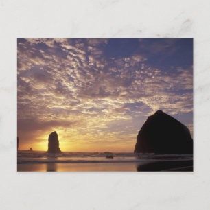 Carte Postale NA, USA, Oregon, Côte de l'Oregon, Canon Beach ave