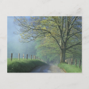 Carte Postale NA, USA, Tennessee, Cades Cove, Great Smoky