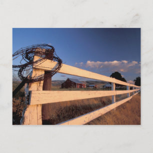 Carte Postale NA, USA, Washington, près de Walla Walla, clôture,