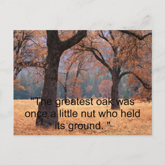 Carte Postale N'abandonne pas (Devant)