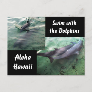 Carte Postale Nager avec les dauphins Hawaii