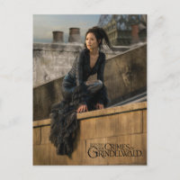 Nagini sur le toit photo