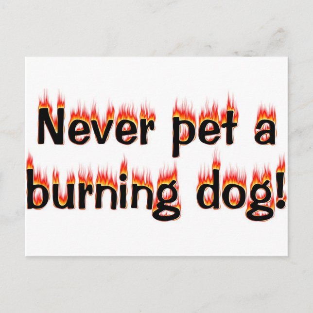 Carte Postale N'aimez jamais un chien en feu ! (Devant)