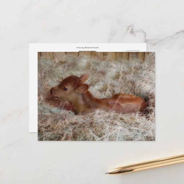 Carte Postale Nain dans la paille, coutume (Devant/Arrière en situation)