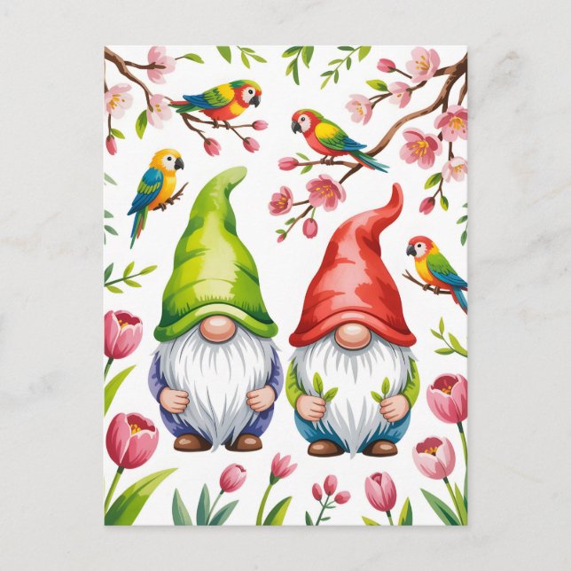 Carte Postale Nains de jardin avec perroquets tropicaux  (Devant)