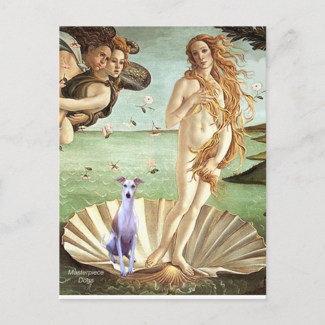 Carte Postale Naissance du lieu - Whippet 8 (Devant)