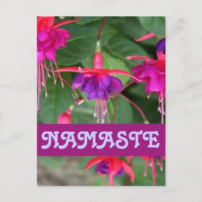 Carte postale NAMASTE fuschia (Devant)