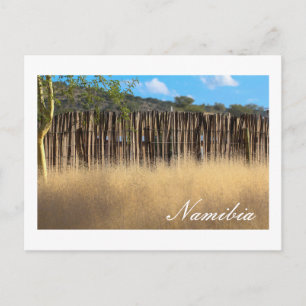 Carte Postale Namibie Afrique Paysage Namibien Herbe Nature