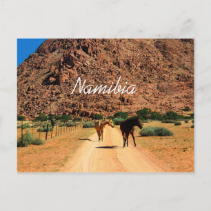 Carte Postale Namibie Koiimasis Ranch Tiras Montagnes Paysage