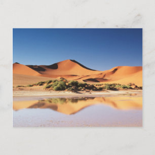 Carte Postale Namibie, région de Sossusvlei, dunes de sable dans