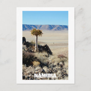 Carte Postale Namibie Tirool Namib Désert Paysage Nature