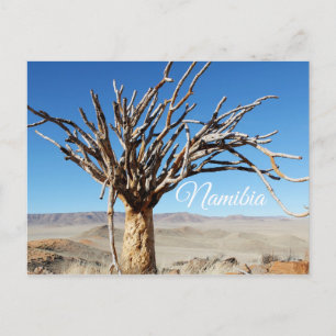 Carte Postale Namibie Tirool Namib Désert Paysage Nature