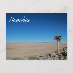 Carte Postale Namibie Tirool Namib Désert Paysage Nature