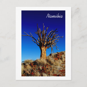 Carte Postale Namibie Tirool Namib Désert Paysage Nature
