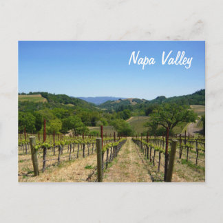Carte Postale Napa Valley