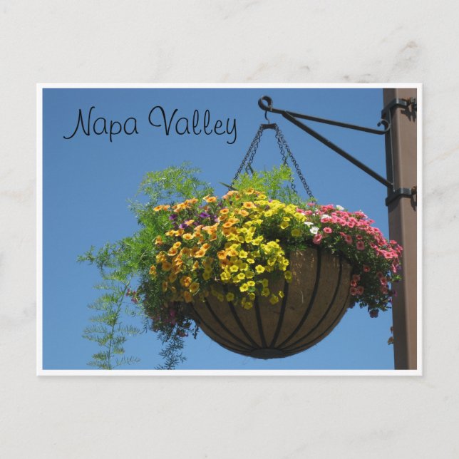 Carte Postale Napa Valley, Ca. (Devant)