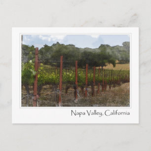 Carte postale Napa Valley California Vineyard