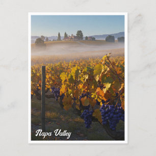 Carte Postale Napa Valley California Vinyard Winery