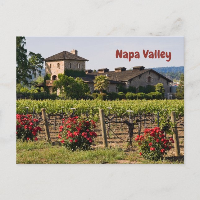 Carte Postale Napa Valley, Californie Vignoble en été (Devant)