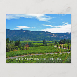 Carte Postale Napa Valley pittoresque en Californie