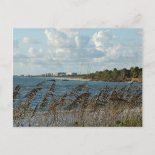 Carte Postale Naples Beach Dunes