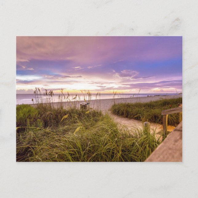 Carte Postale Naples Beach Rive et Océan calme | Floride (Devant)