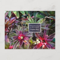Naples Florida Botanical Garden Stephen Dias Citat