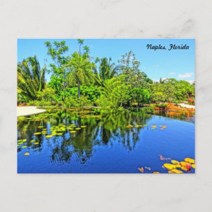 Carte Postale Naples Florida Jardin botanique - Piscine à l'infi