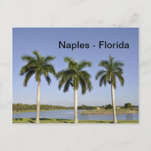 Carte Postale Naples Floride