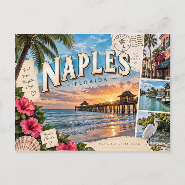 Carte Postale Naples Floride (Devant)