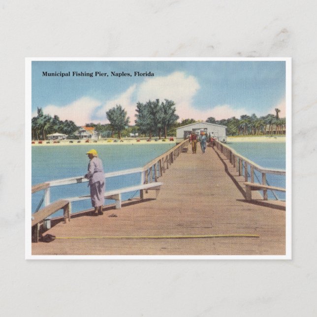 Carte Postale Naples vintage, Floride (Devant)