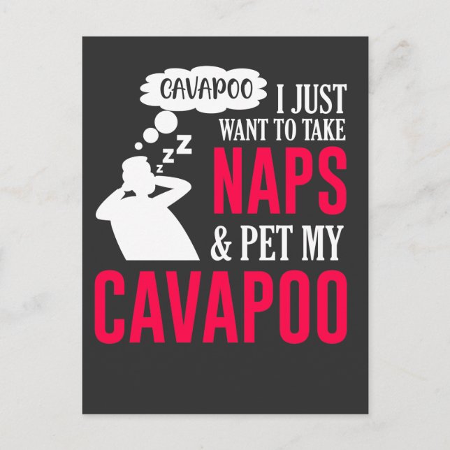 Carte Postale Napper et familier mon Cavapoo Chien Nap Humour (Devant)