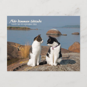 Carte postale När dimman lättade CC0547 Sideby