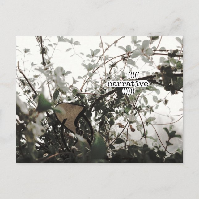 Carte Postale (((narratif))) (Devant)