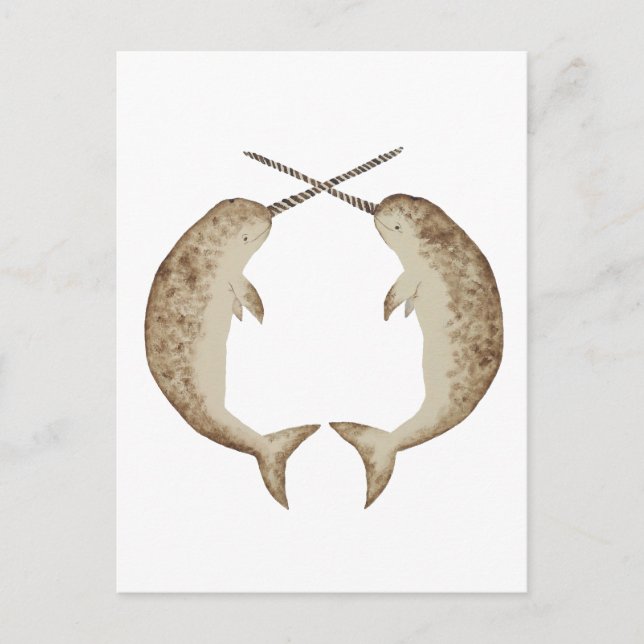 Carte Postale Narwhal (Devant)
