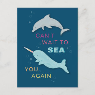 Carte Postale Narwhal Dolphin Friends