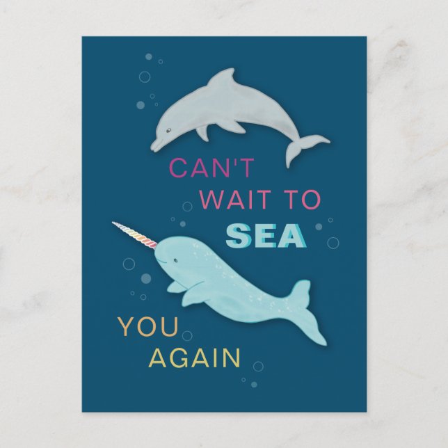 Carte Postale Narwhal Dolphin Friends (Devant)